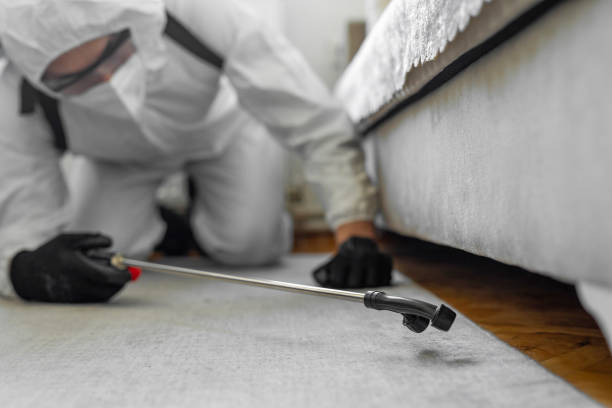 Professional Termite Control technician working in Pearl Beach, MI