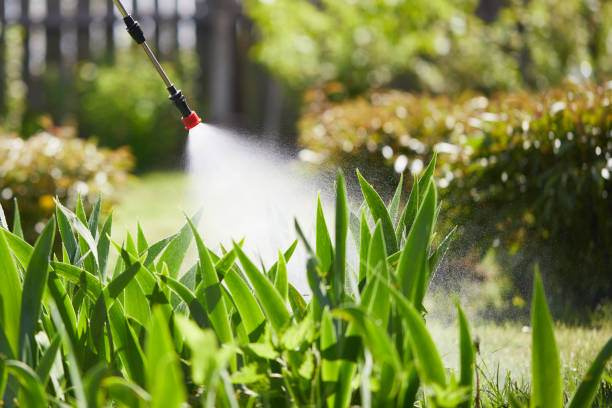 24/7 Emergency Termite Control experts in Pearl Beach, MI