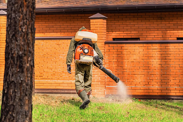 Trusted Bed Bug Control service in Pearl Beach, MI - Nex Pest Control